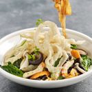 Crispy Hor Fun With Assorted Vegetables鴛鴦炒河粉