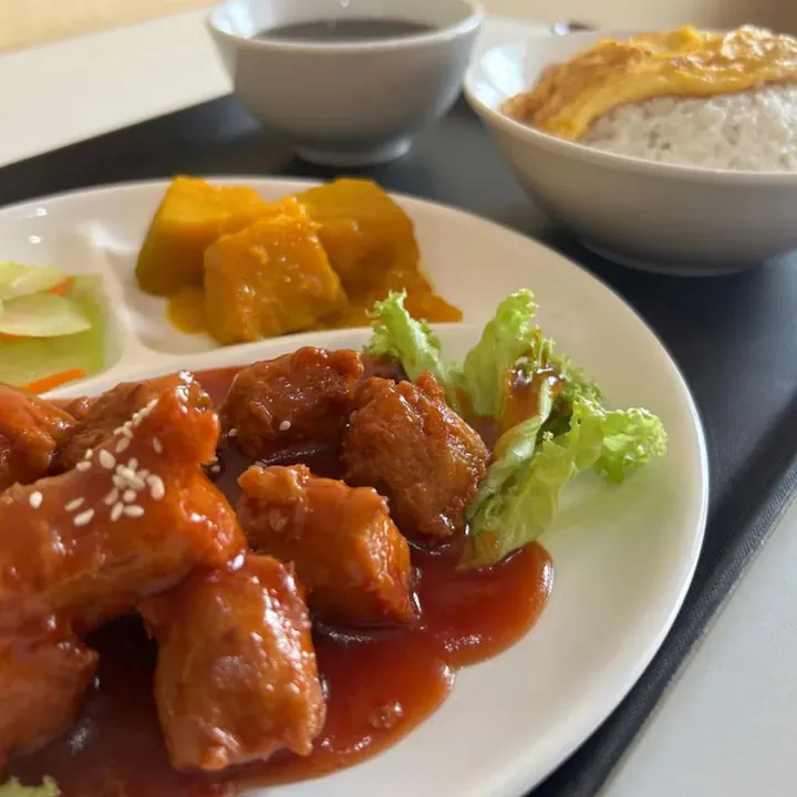 Sweet & Sour Vegetable Chicken Rice